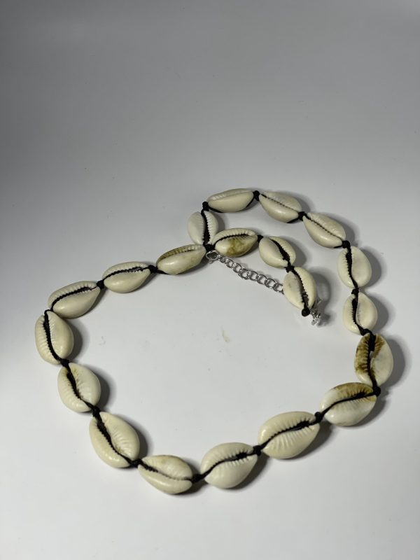 Sea cowrie shell necklace - Image 3