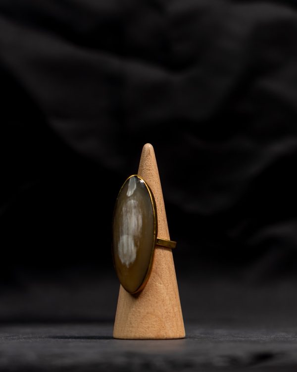BONE AND BRASS RING